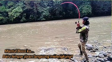 Ganas-ganas!! mancing baung di arus deras pakai joran satu aja sampai kualahan