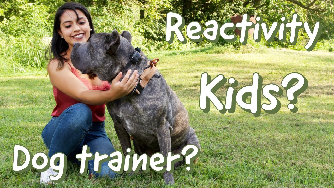 Answering Your Questions About My Cane Corsos Food Aggression