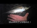 絶対釣れる夜釣りの大アジ（三浦半島 剱崎 つるぎざき）Night-fishing