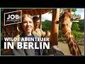 Zwischen Putzlappen und Tierliebe: Der Alltag der Tierpfleger in Berlin | JOBportagen