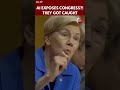 AI Investigation Claims to Expose Massive Congressional Trading Network