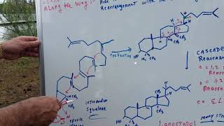 Cholesterol – Key Biology Concept for the DAT & OAT | Dr. Jim Romano | DAT Destroyer