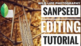 Snapseed Tutorial: How To Edit Wildlife Photo screenshot 2