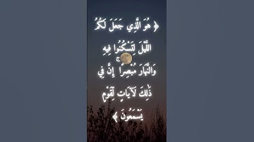 السورة: يونس القارئ: سعد الغامدي الاية: 67