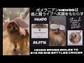 癌と闘うイブにポメラニアンは笑顔をもたらす/Hendo brings smiles to Eve as she battles cancer