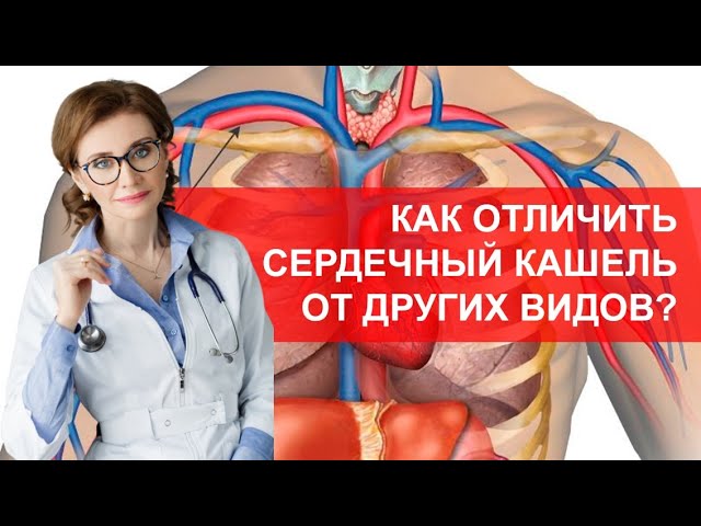 Сердечный кашель. Как отличить сердечный кашель от других видов?