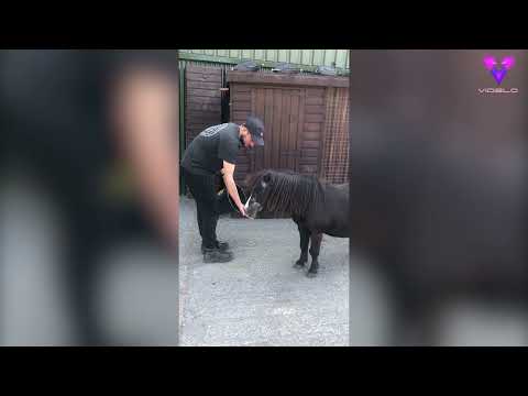 Dos universitarios dejaron los estudios para dedicarse a cuidar animales
