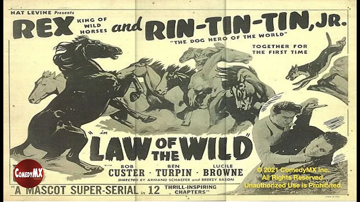 Law of the Wild (1934) | Complete Serial - All 12 ...