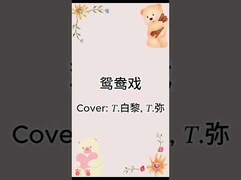 鸳鸯戏 Cover T 白黎 𝑇 弥
