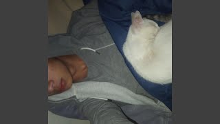 Mi gata - NAZZA