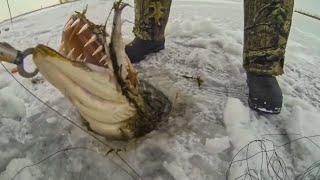 Lucky Fisherman Caught Something Incredible