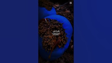 سابقوا إلى مغفرة من ربكم وجنة سورة الحديد - Al-Hadid بصوت الشيخ عبدالباسط عبدالصمد 22=5=2025