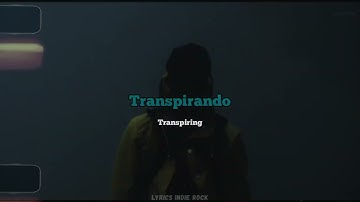 🎹🎶Stray Fossa - Transpiring (Sub. Esp. e Ingle.)🎹🎶