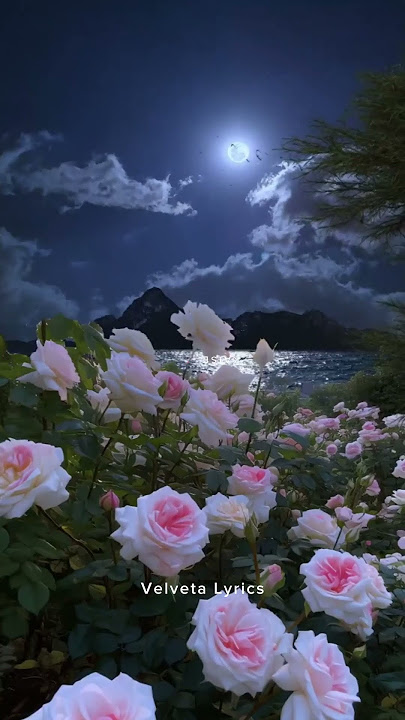 Kaise bataye kyun tujhko chahe 🦋 Tu jaane na (lyrics) | whatsapp status#shorts #trending #tujaanena