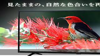 アイリスオーヤマ 24V型 液晶 テレビ 24WB10PB 2022年モデル Wチューナー 裏番組同時録画 外付けHDD録画対応