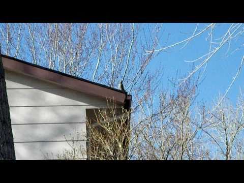 Morse code Flicker