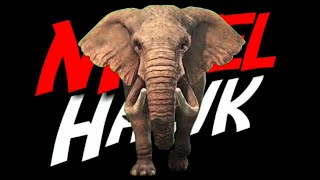 Watch Mykel Hawk Elephant video