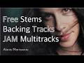 Ironic - Alanis Morissette | Multitrack Stems & Backing Tracks (2026)