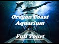 Oregon Coast Aquarium: Full Tour