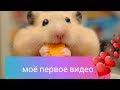 Моё первое видео (крис мейн)