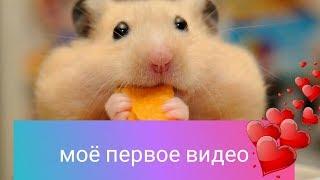 Моё первое видео (крис мейн)