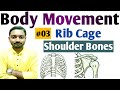 Class-6 Science Guru | Rib Cage | Shoulder Bones | Chapter-8 | NCERT | CBSE | #03