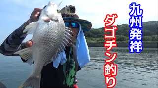 ＃２　ダゴチン釣りでチヌを狙う！