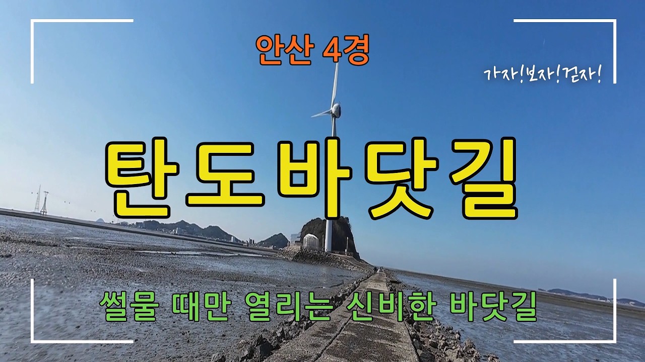 [안산 4경] 탄도바닷길(썰물 때만 열리는 신비한 바닷길과 누에섬)