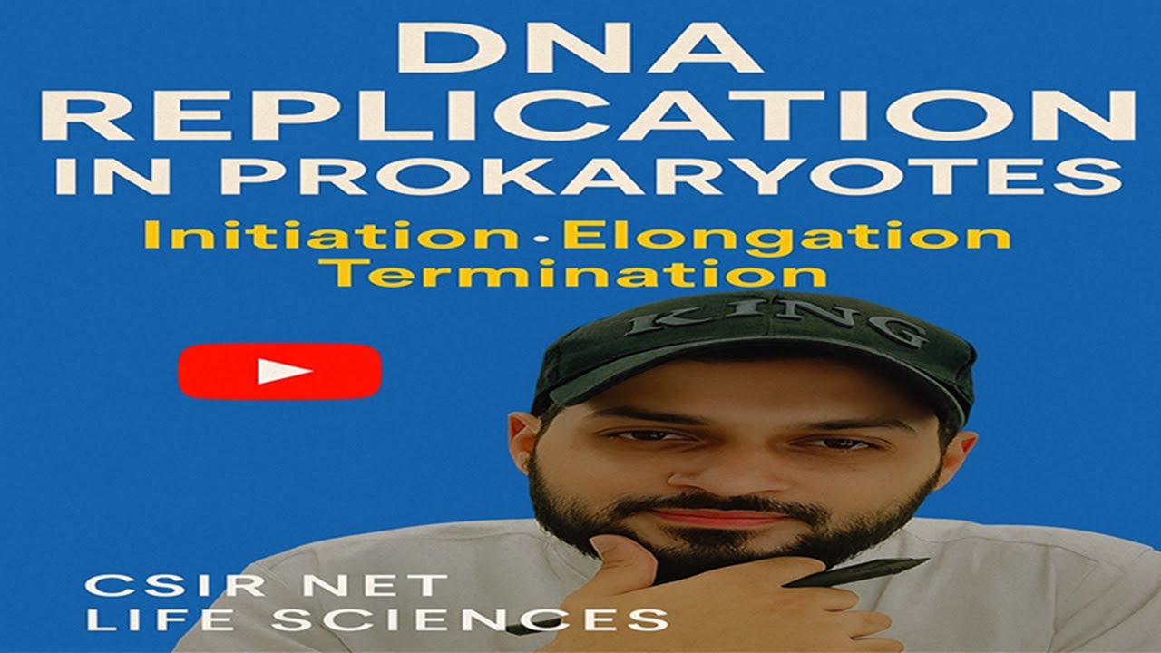 DNA Replication in Prokaryotes | Initiation, Elongation, Termination ...