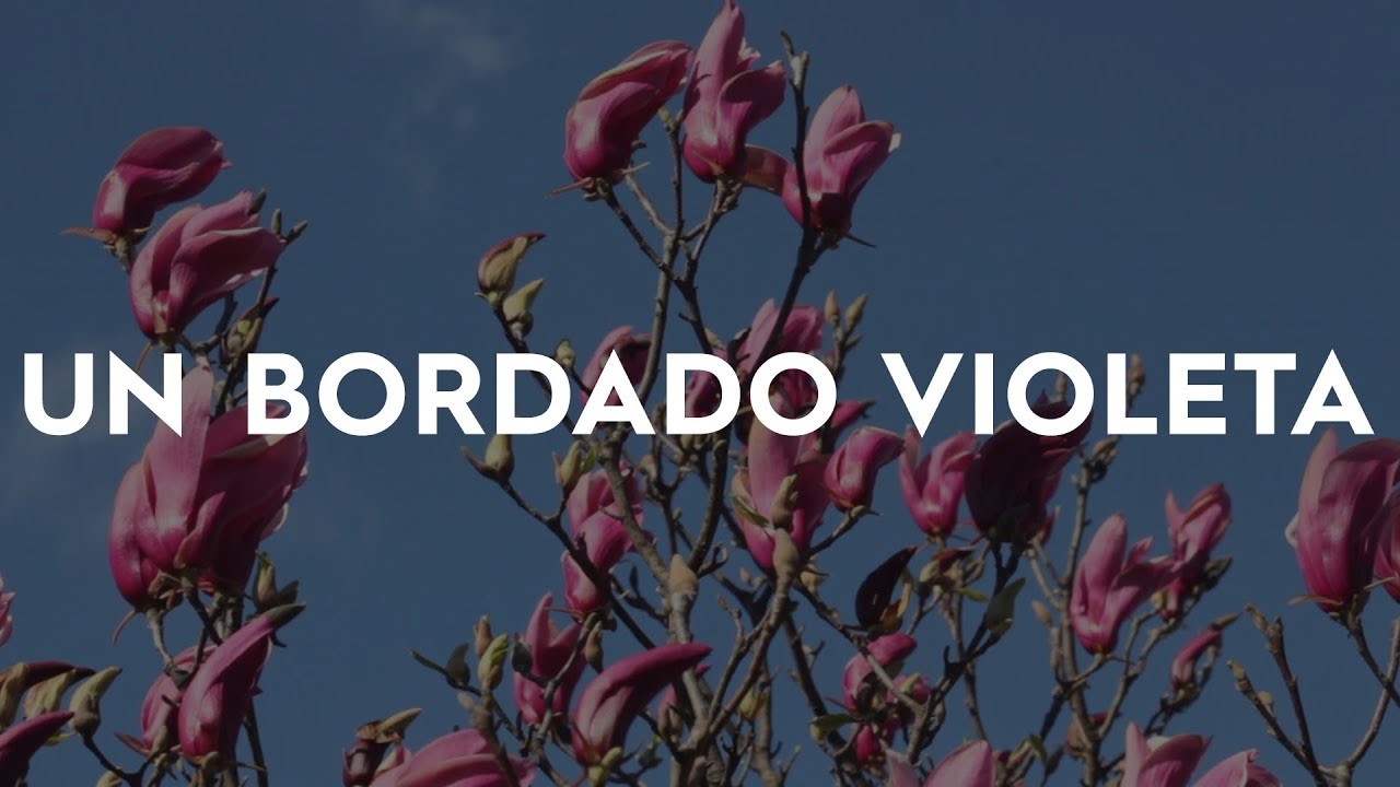 UN BORDADO VIOLETA [Documental completo]