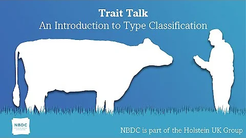 Trait Talk - Episode 1 - An Introduction to Type Classification