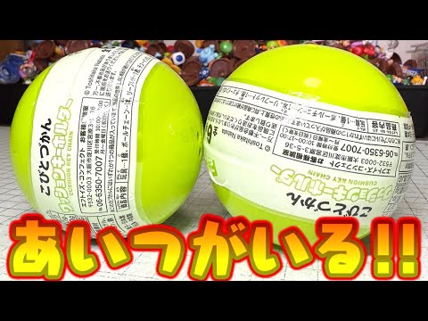 こびとづかん hqdefault.jpg