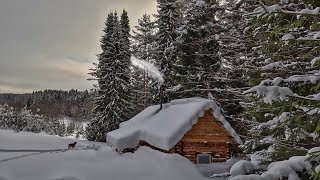 Bütün Kış Bu Kulübeyi Kimse Ziyaret Etmedi Çatıya Kadar Tüm Duvarları Kar Kapladı