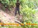 surviving-jungle-trip-in-the-manu-national-park