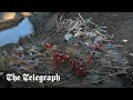 China earthquake: Emergency workers dig through rubble in freezing temperatures