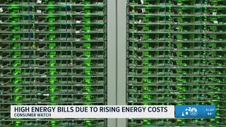 Electricity bills up 7%; experts share ways to reduce rising energy costs