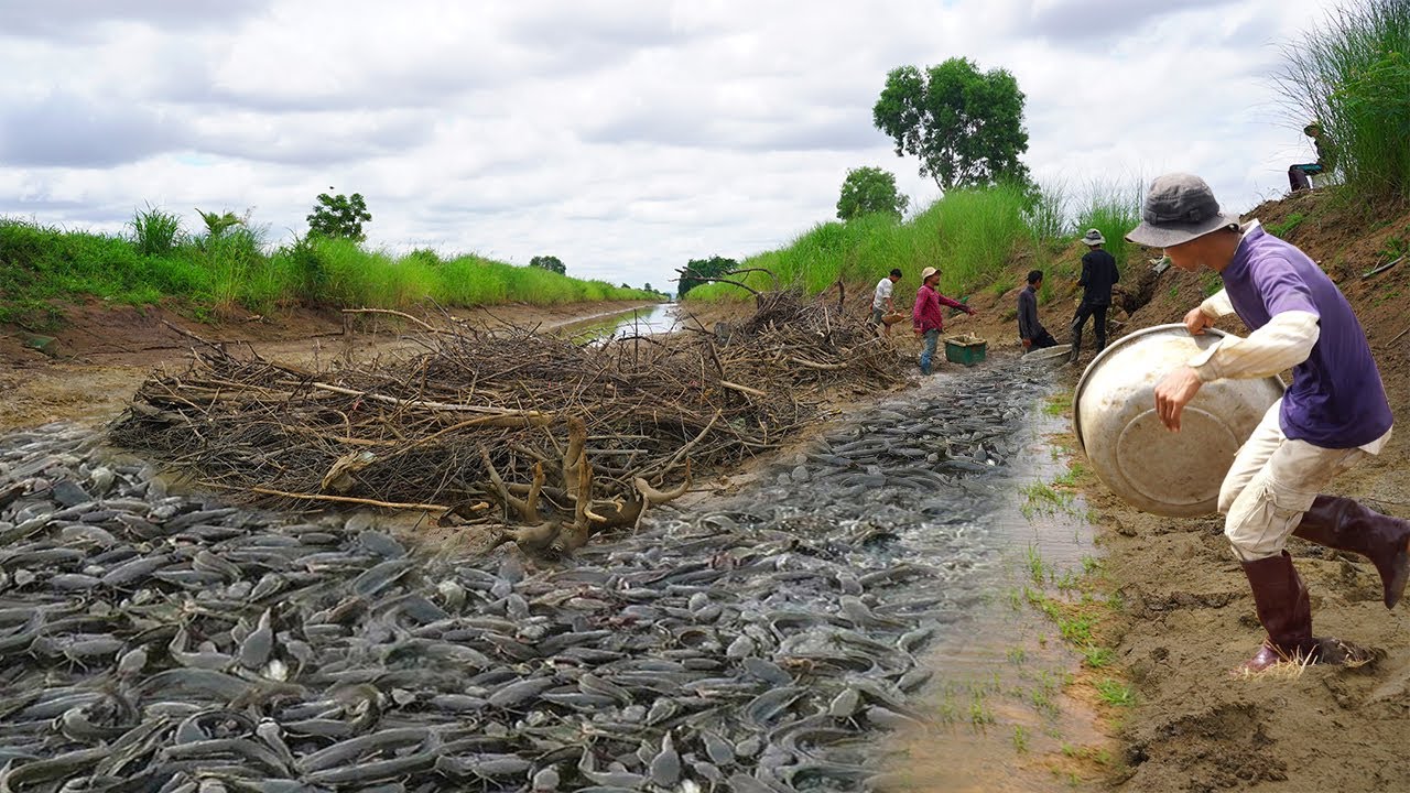 Top 5 Baits for Copper Snakehead Fishing: A Quick Guide