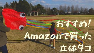 Amazonで買った凧レビュー