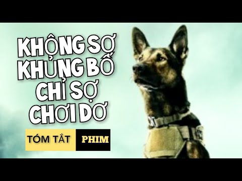 Video: Không phải là nơi an nghỉ cuối cùng. Khách sạn Nhật Bản cho người chết