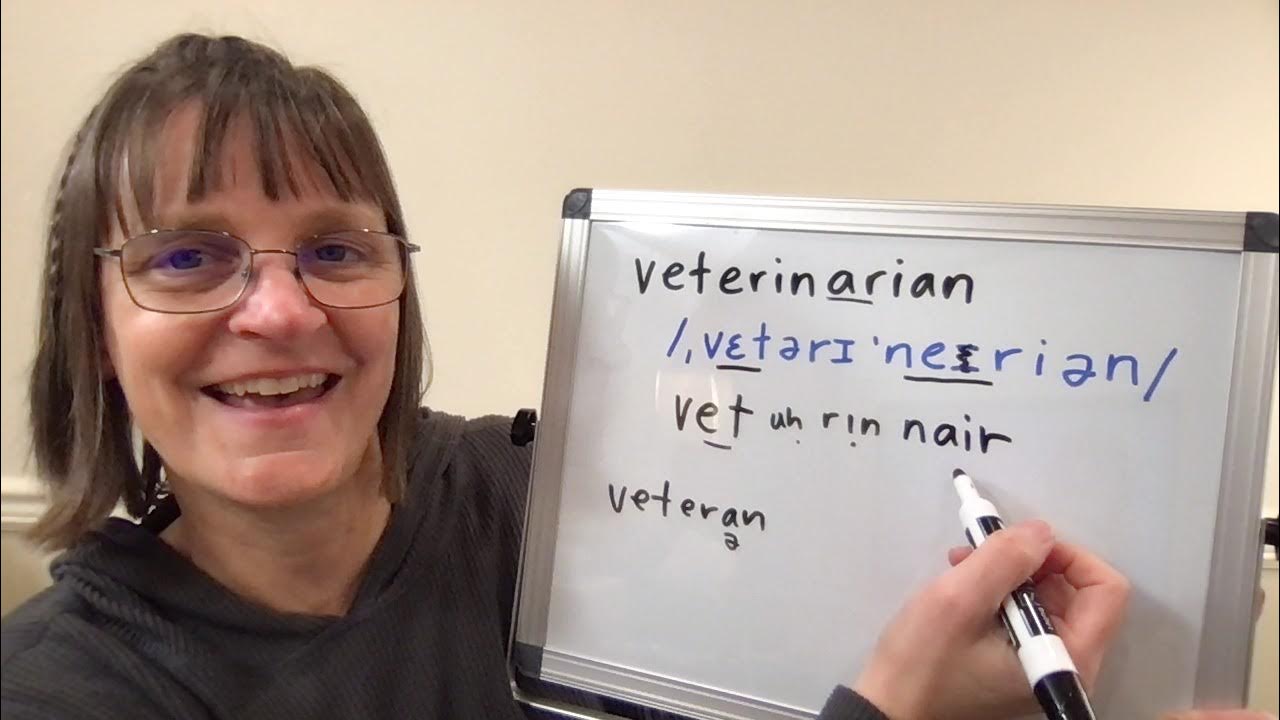 How to Pronounce Veterinarian YouTube