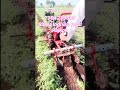 #khetibadi #tractor #youtubeshorts #power_tiller #7984235685