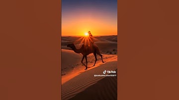عبد الرحمن مسعد سورة الملك تلاوة خاشعة