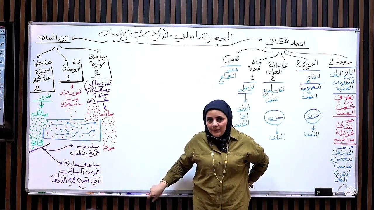 ست نورا الدايني الأحياء الفصل الثالث المحاضره رقم25-جهاز التناسلي الذكري
