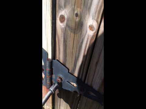 Stripped Lag Bolt - Wooden Gate Hinge Part 1 of 2