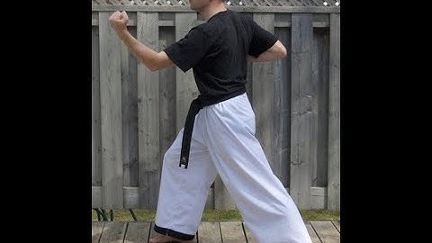 Taekwondo: Hapkido: Foundations: Circular middle block - side view