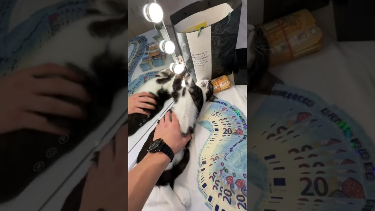 Perfect Packing Real Euro Cash💵 