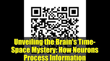 Unveiling the Brain