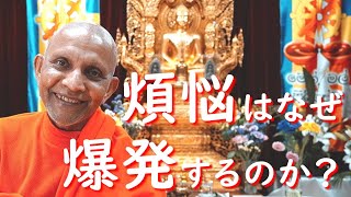 【生配信】煩悩はなぜ爆発するのか？――存在欲・渇愛というマグマを発見する｜スマナサーラ長老のゴールデン・ウィーク瞑想実践会（02 May 2021 ゴータミー精舎）