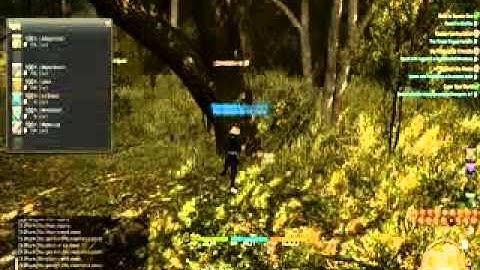 75k Per Hour_Final Fantasy XIV_A Realm Reborn Gil Farming Guide