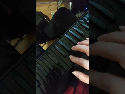 Melodica Ievan Polka